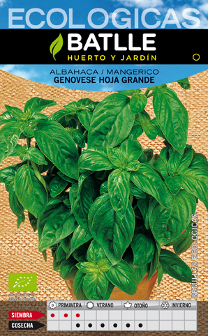 sementes ecologicas certificadas manjericao