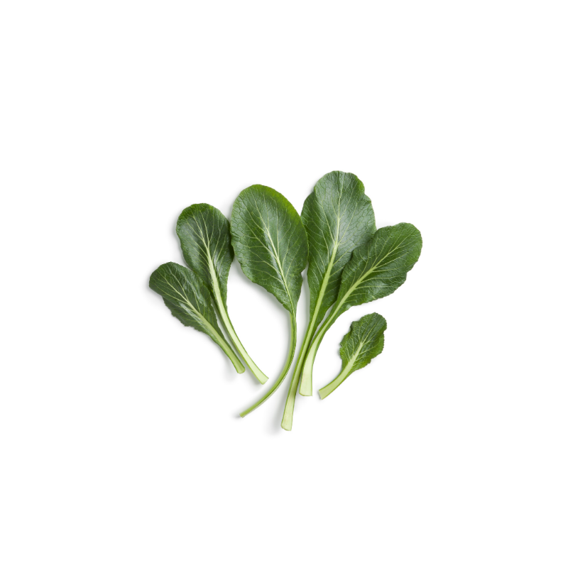 KOMATSUNA microvegetais ecogrowing