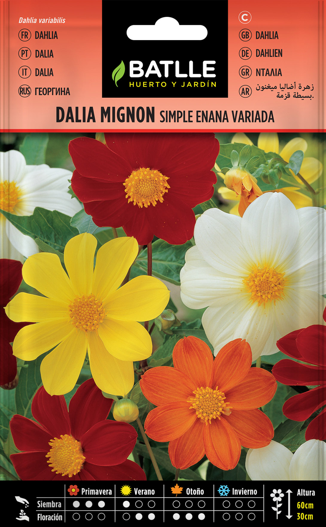 Sementes Dalia Mignom Variada | Flores Comestíveis | EcoGrowing